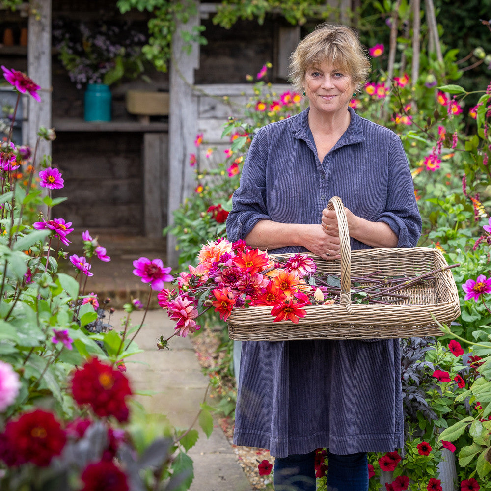 August and September Open Days