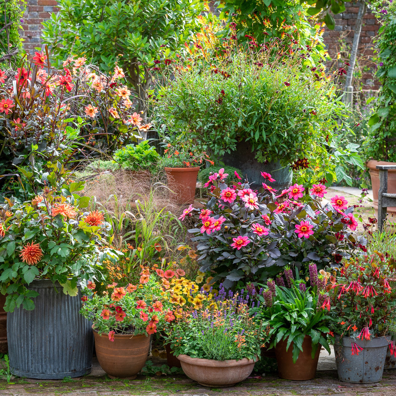 A Year Full of Pots with Sarah Raven at Perch Hill