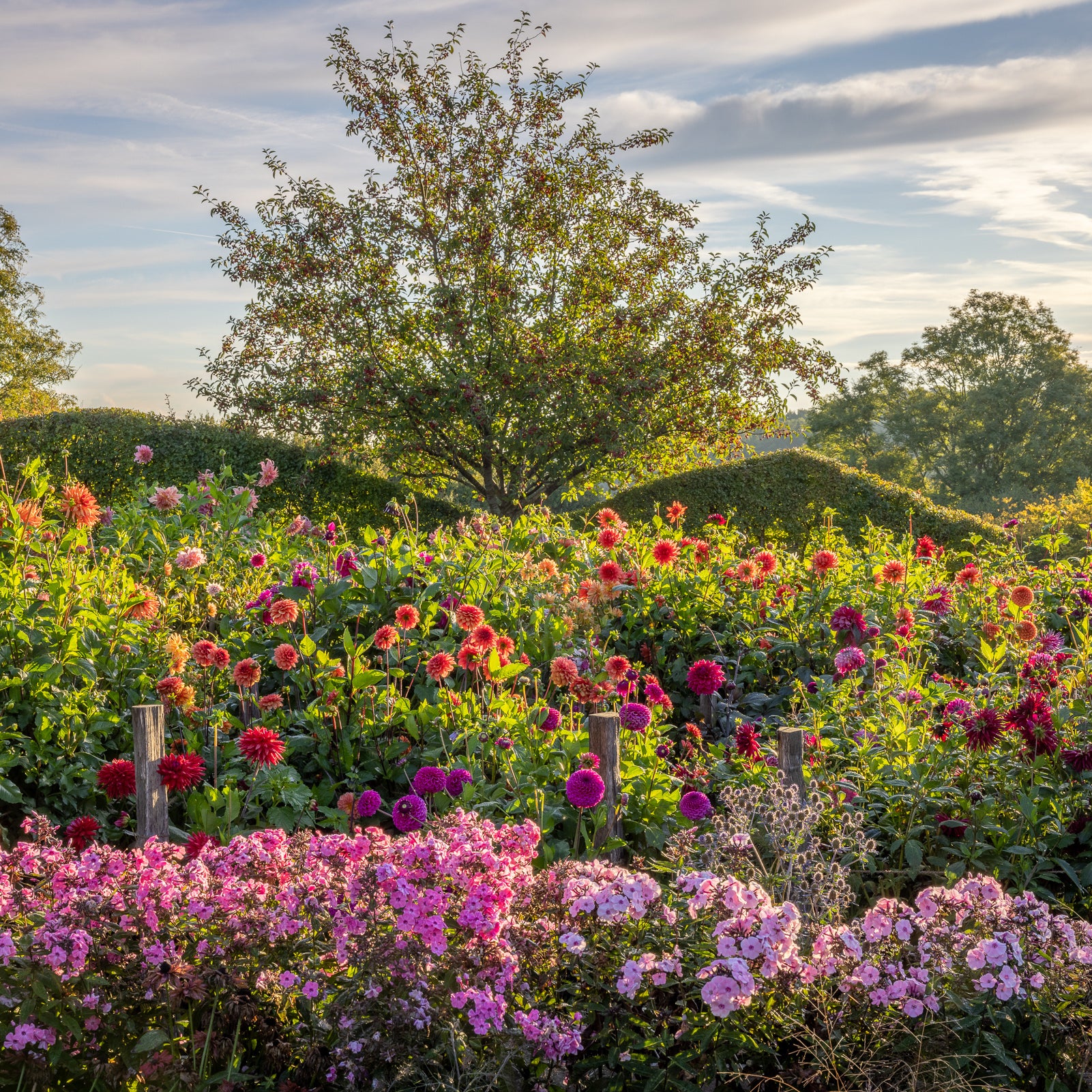 The Kaleidoscope Garden – Planting for Colour and Flowers Through Every Season with Sarah Raven at Perch Hill