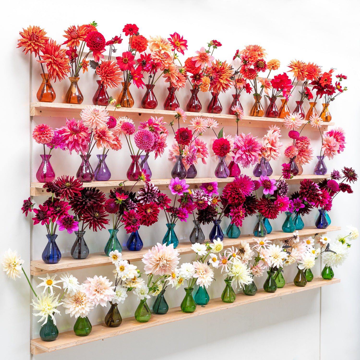 The Kaleidoscope Garden – Planting for Colour and Flowers Through Every Season with Sarah Raven at Rutland Nursery, Oakham