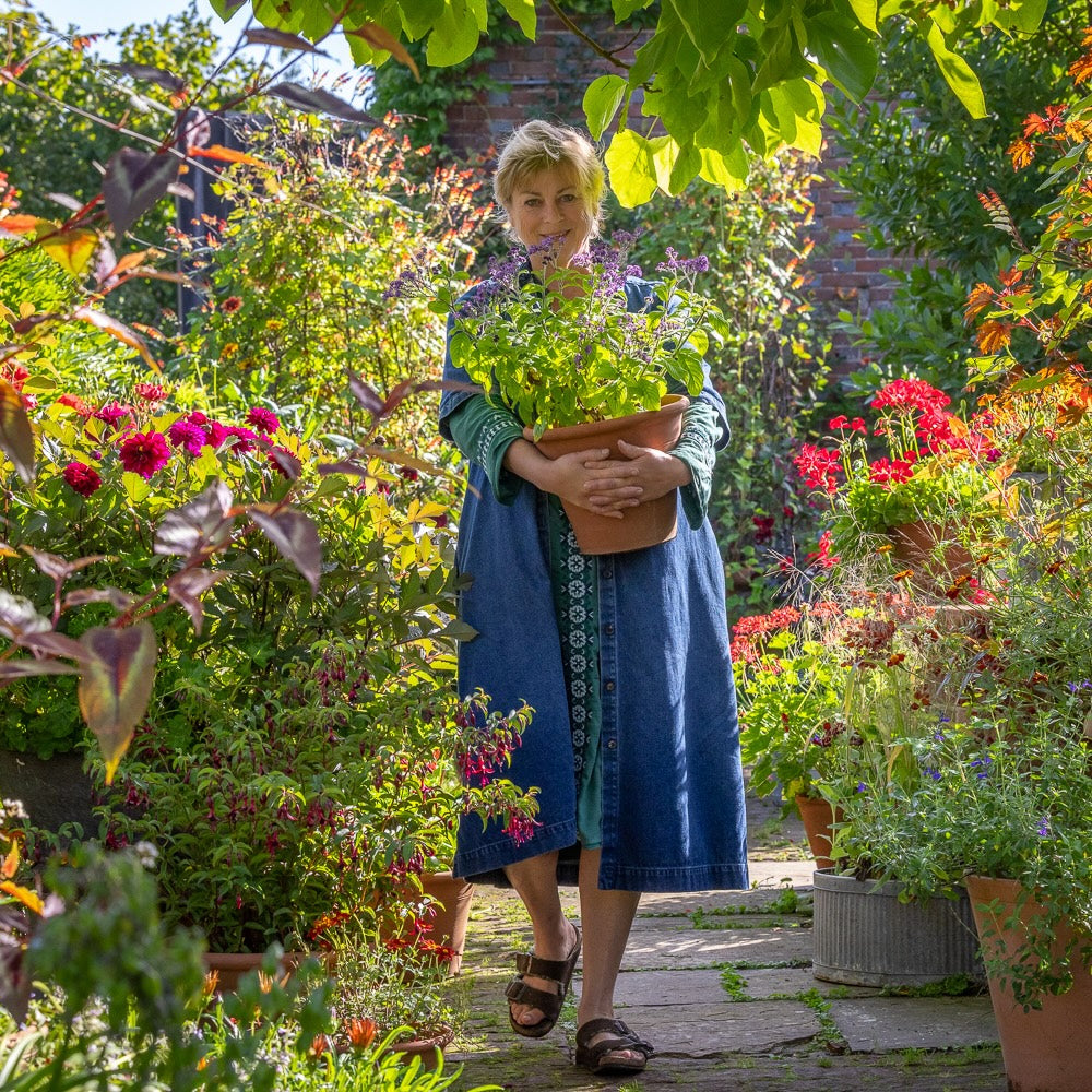Spectacular Pots and Containers with Sarah Raven at Rutland Nursery, Oakham