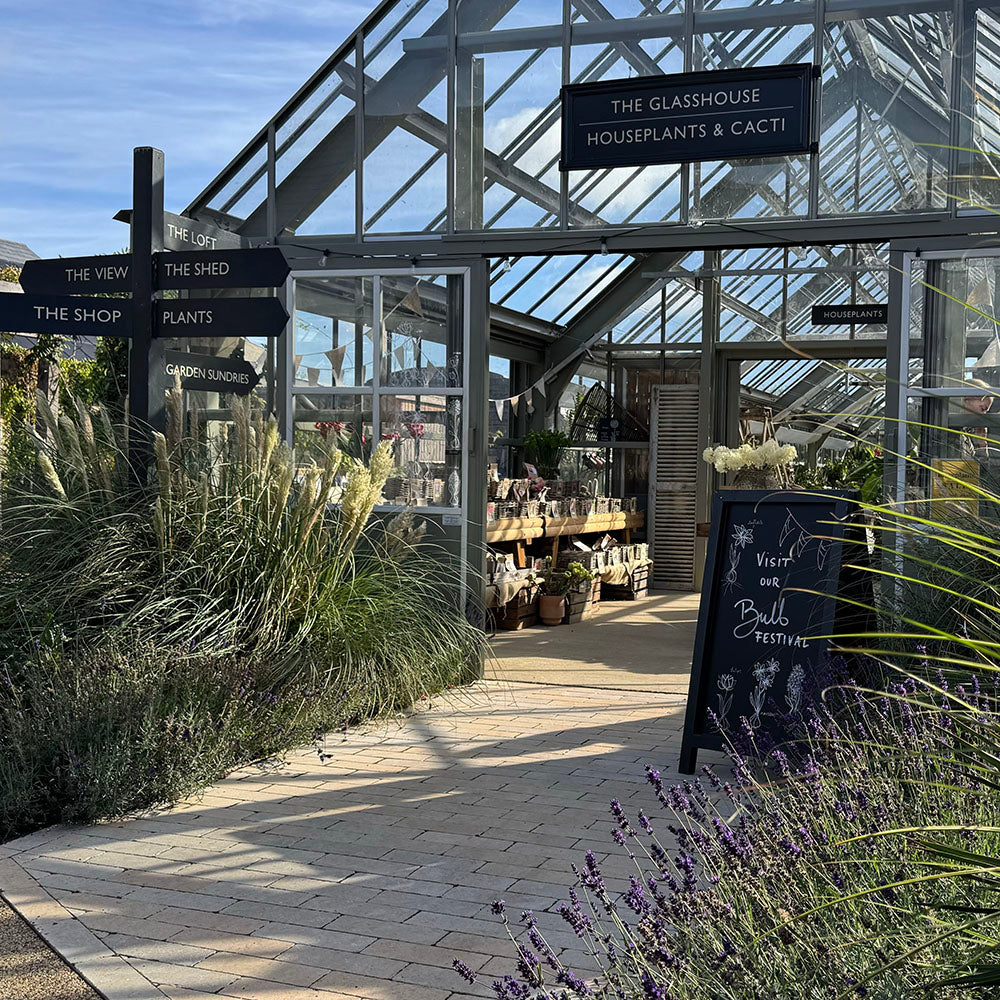 Spectacular Pots and Containers with Sarah Raven at Rutland Nursery, Oakham