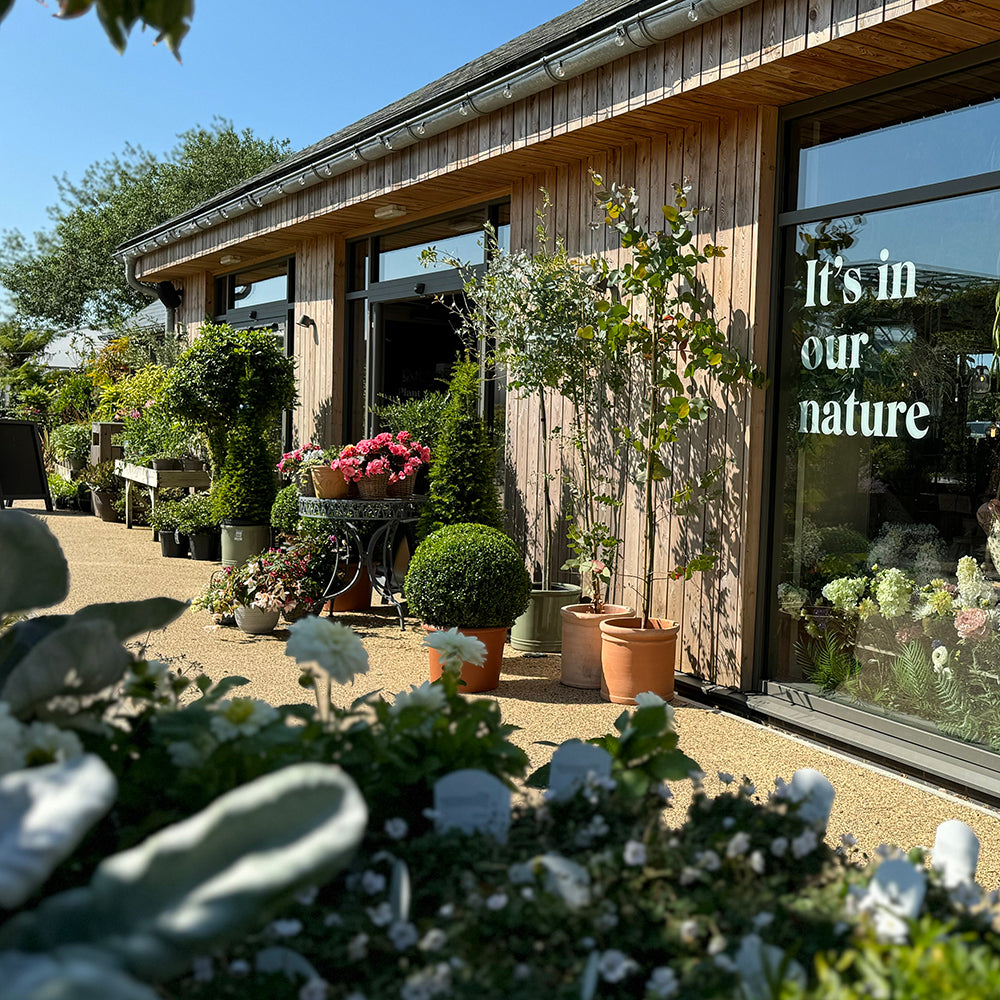 Pop-up shopping event at Rutland Nursery, Oakham