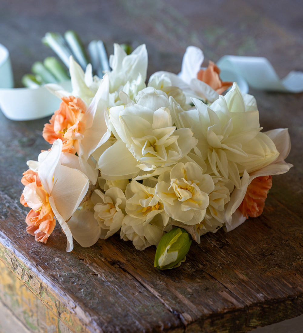 Flamboyant Narcissus Collection