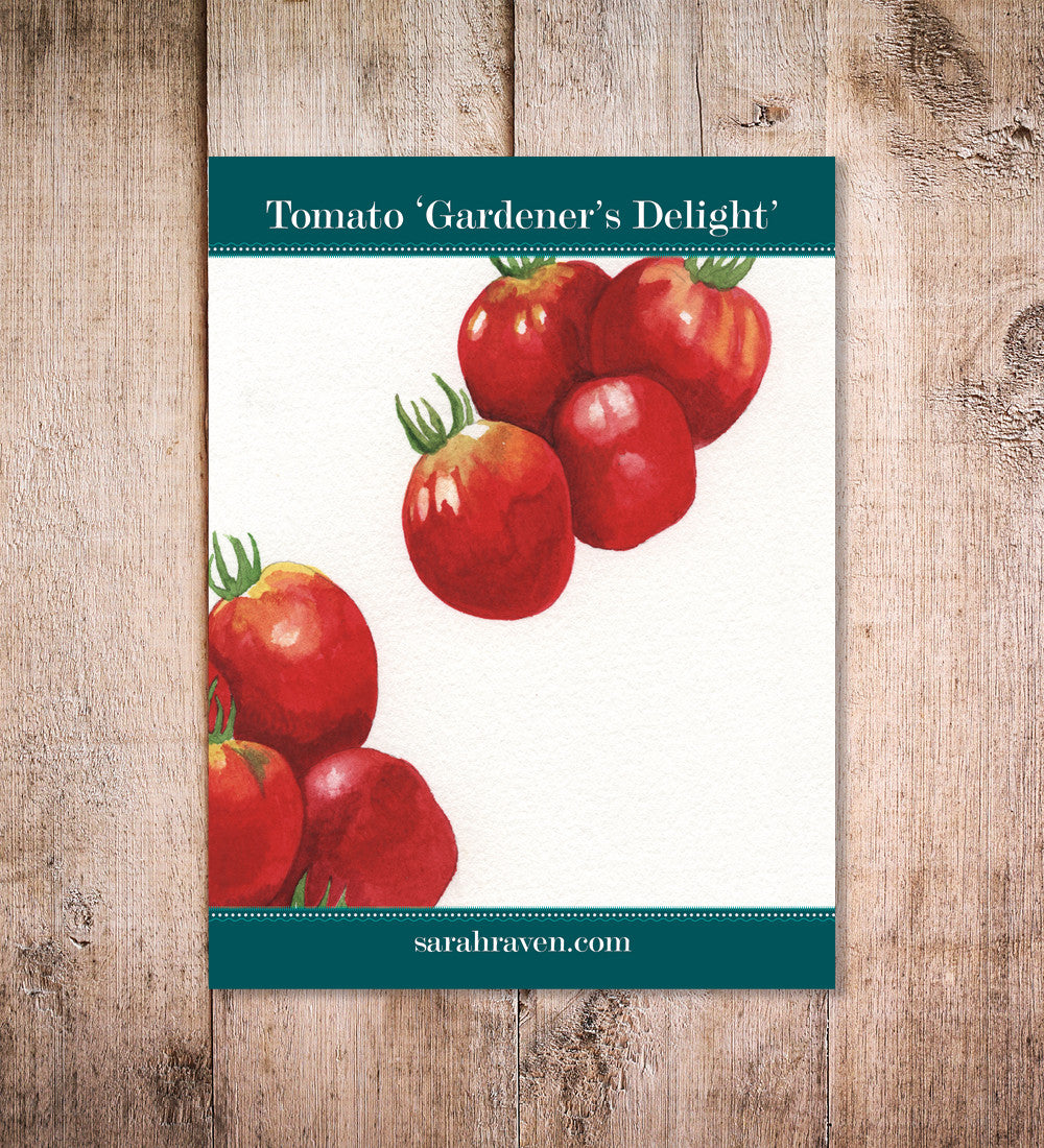Tomato 'Gardener's Delight'