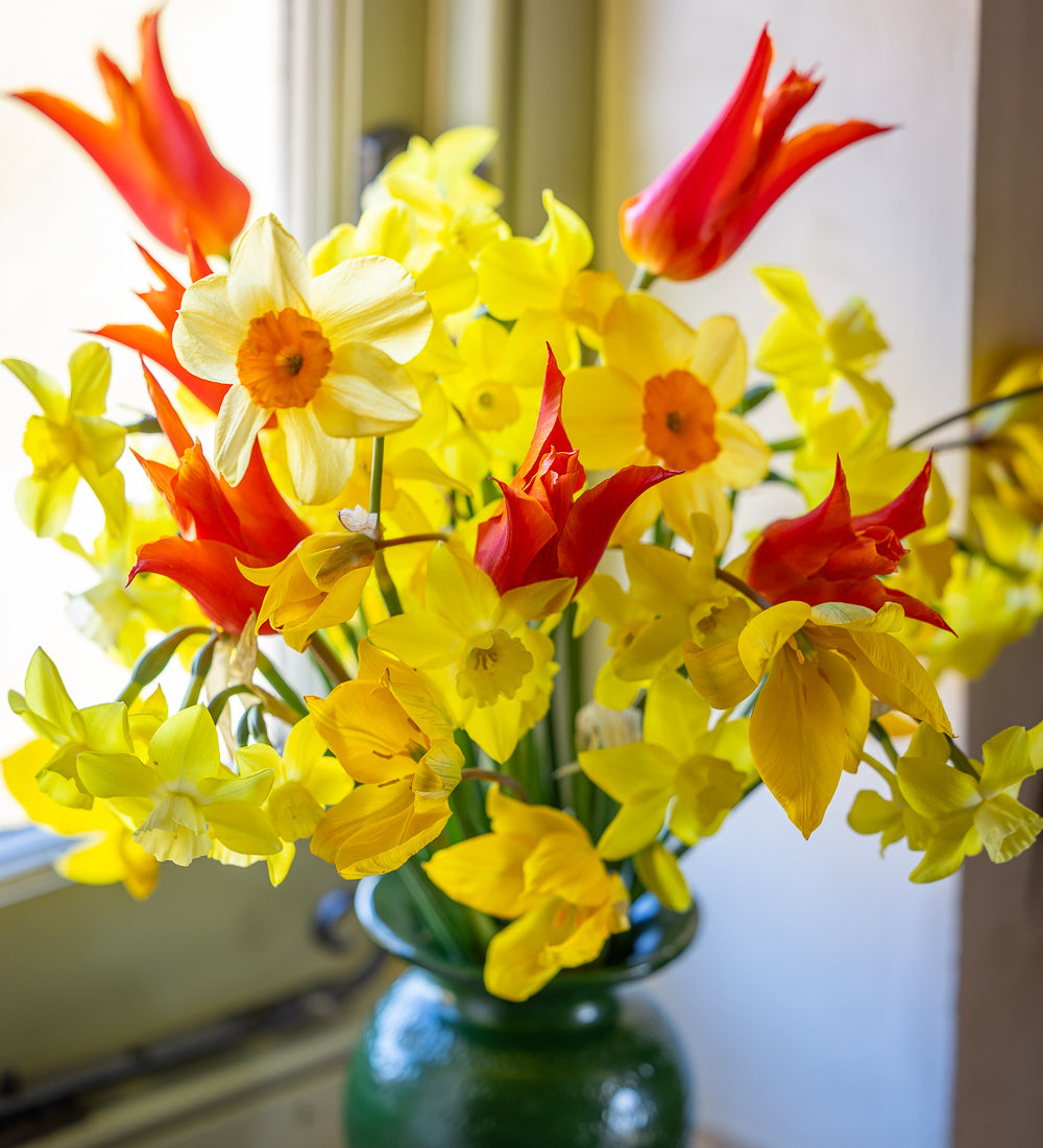Vase Full of Cheer Bulb Collection