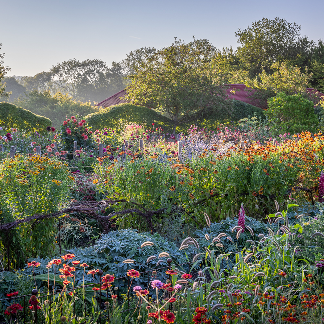 June and July Open Days
