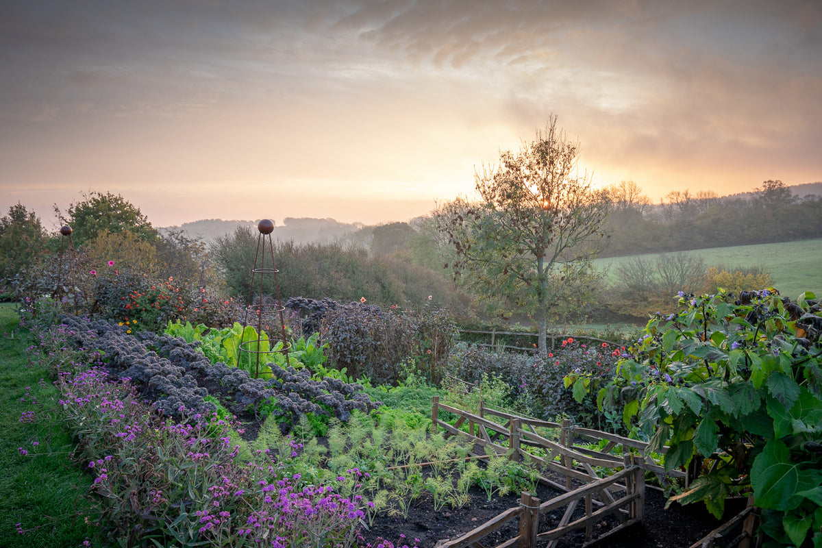 Year Round Veg with Sarah Raven at Ham Court, Bampton