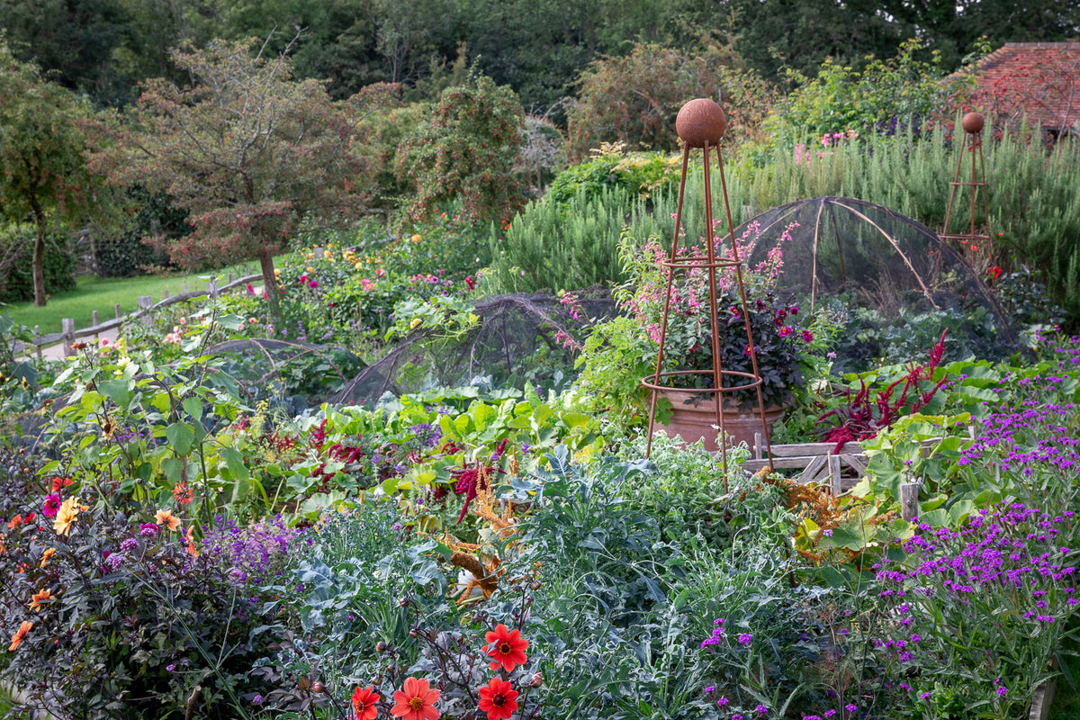 Year Round Veg with Sarah Raven at Ham Court, Bampton