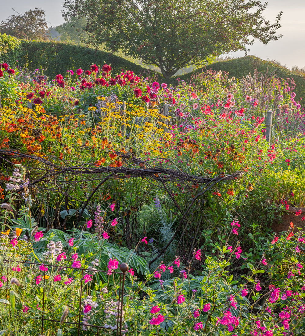 A Day with Alan Titchmarsh ‘Why I garden’ at Perch Hill Farm