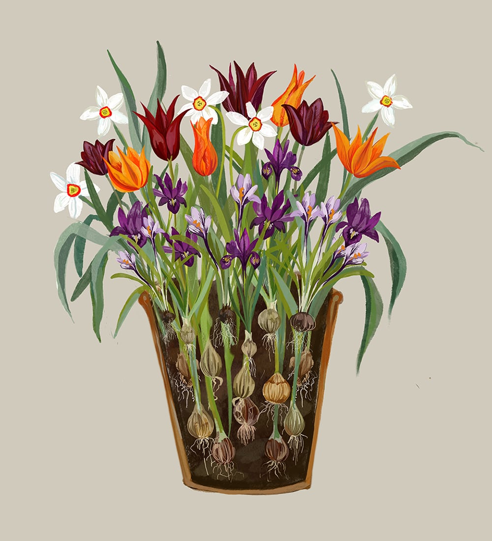 A Year Full of Pots with Sarah Raven at Perch Hill