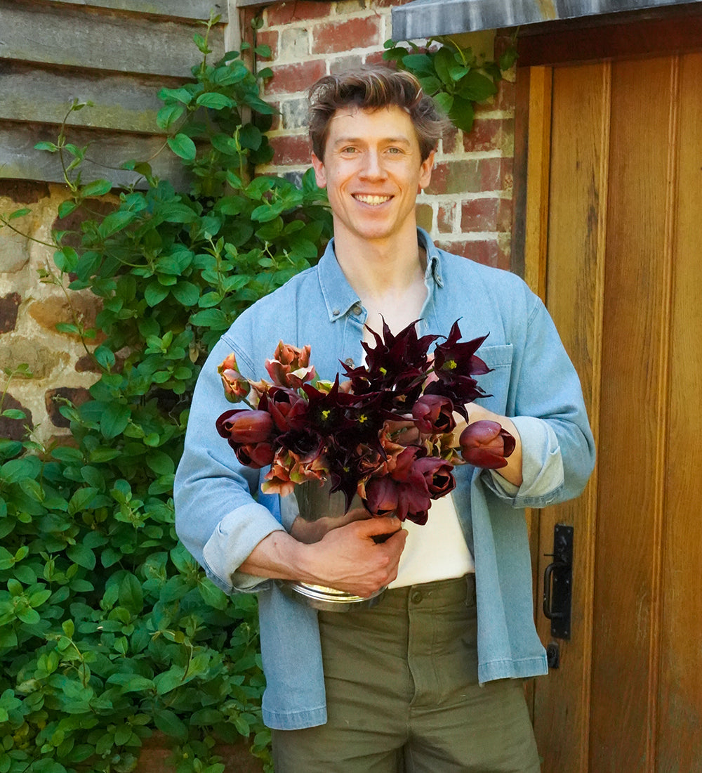 Andy Monaghan's Tulip Collection