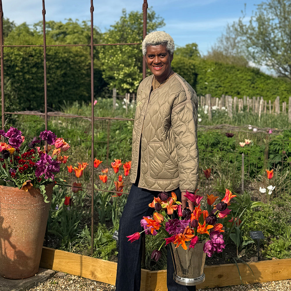Arit Anderson's Tulip Collection
