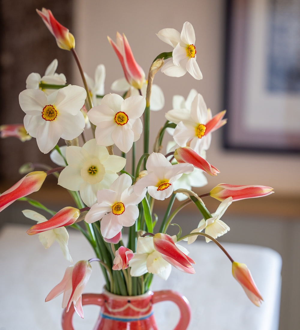 Jemima's Delicate Bulb Collection