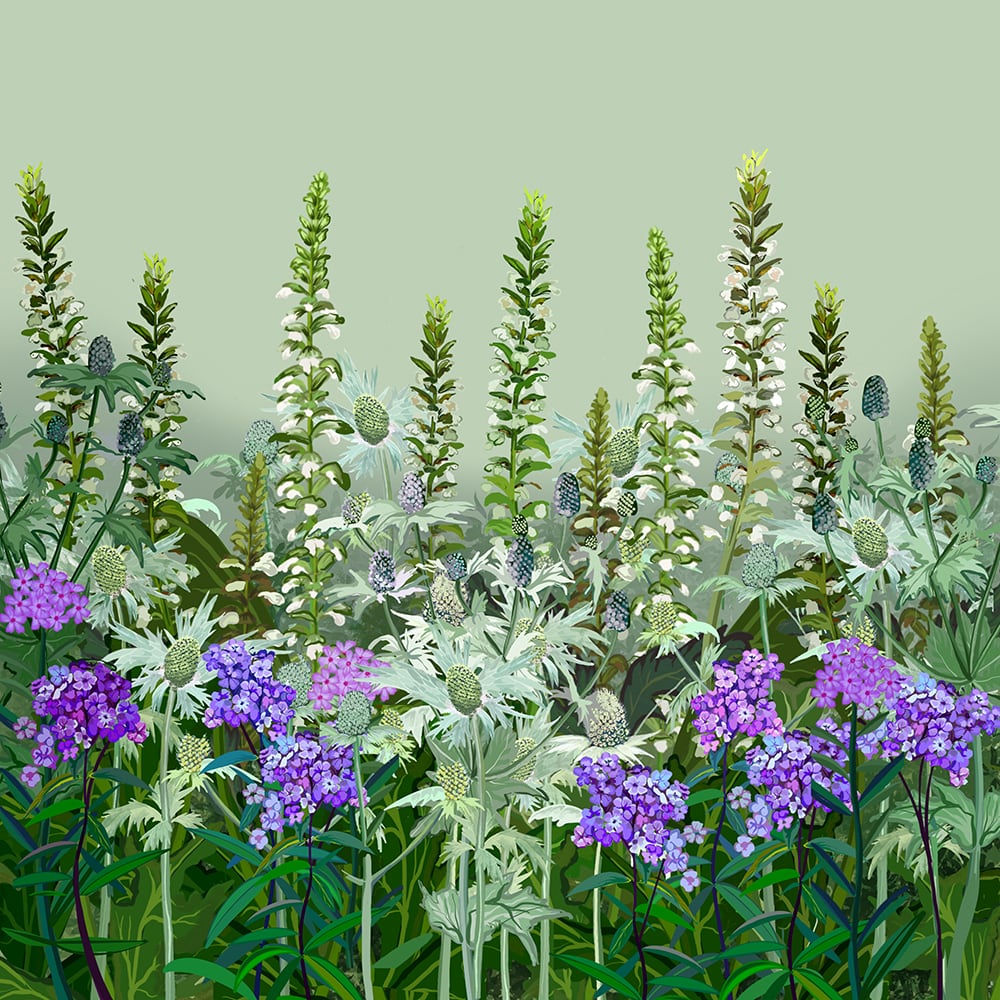 Blue Paradise Border Collection