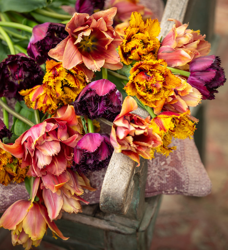 Kilim Tulip Collection