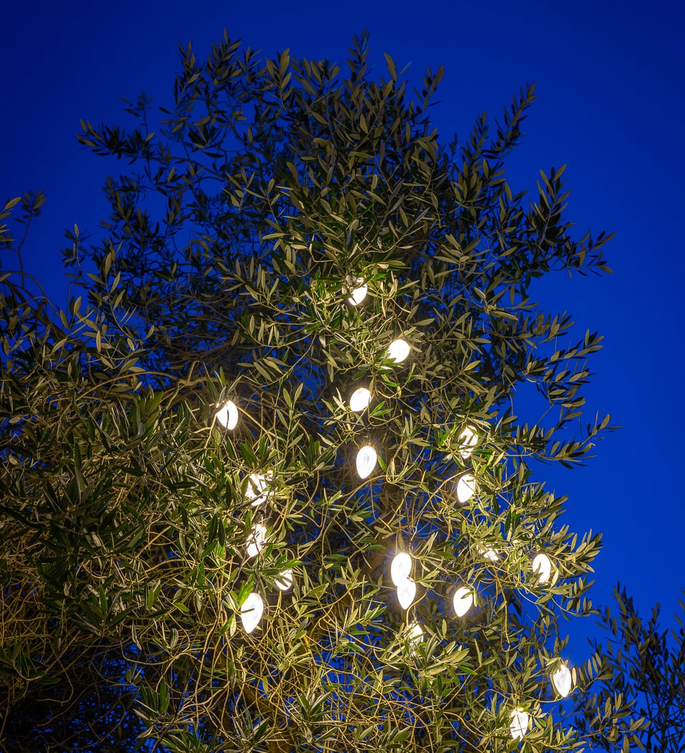 Christmas When We Were Little Pine Cone Lights