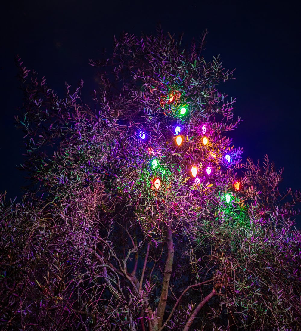 Christmas When We Were Little Pine Cone Lights