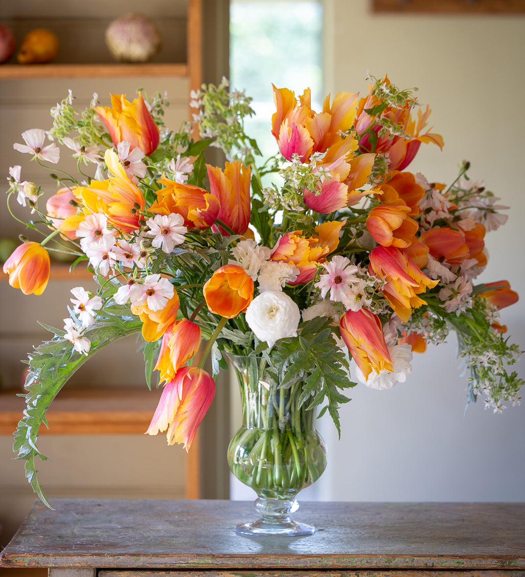Flaming Memory Tulip Collection