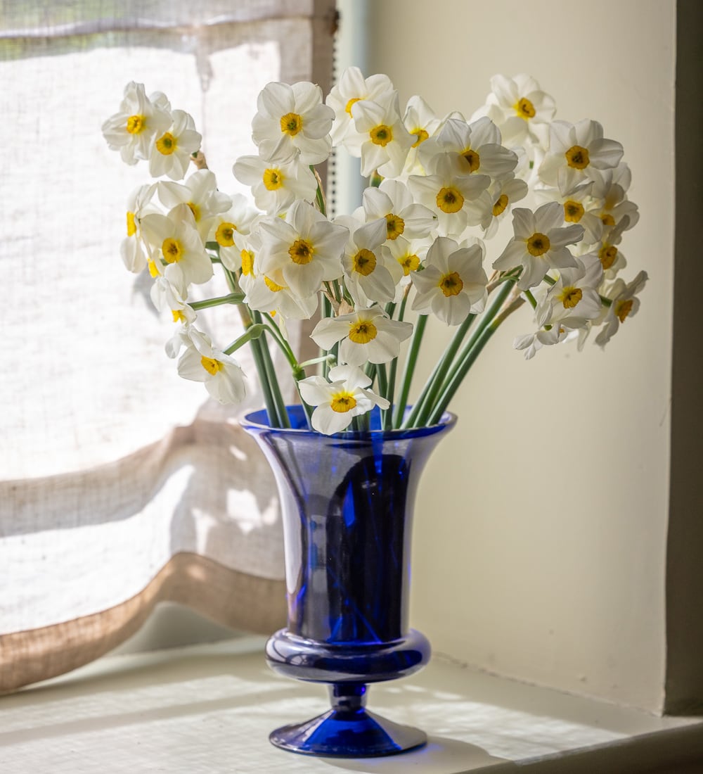 Favourite Cobalt Blue Vase