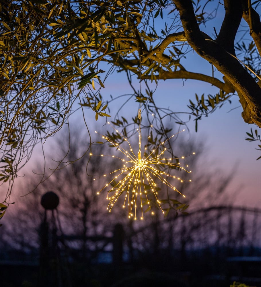 Fireworks in the Garden Silver Starbursts