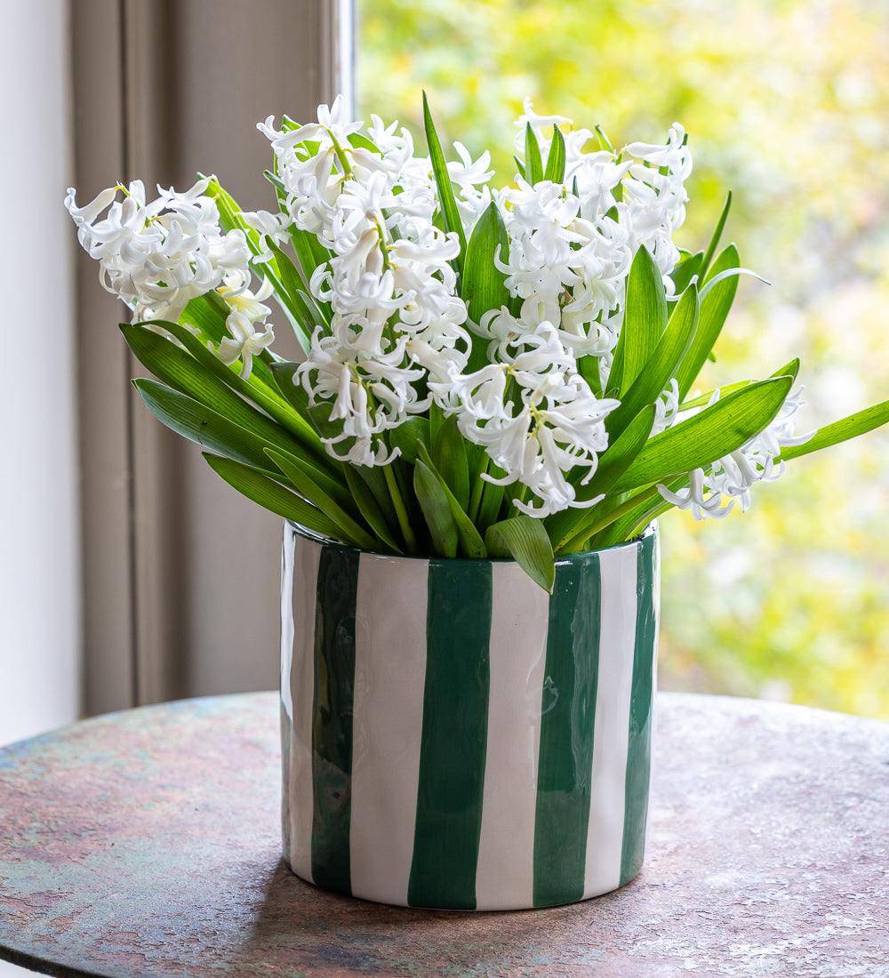 Green And White Stripe Timeless Pot