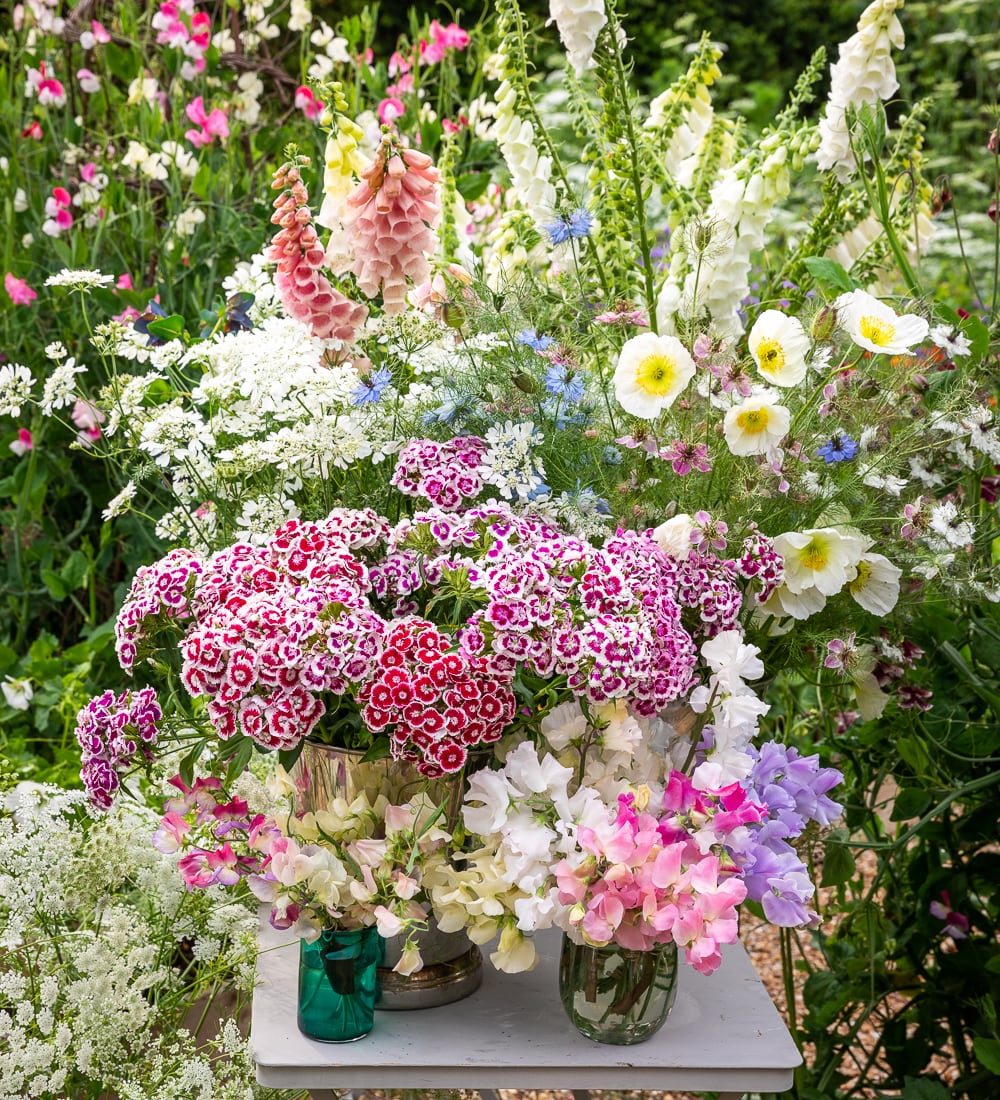 Grow Your Own Cut Flowers with Sarah Raven at Perch Hill Farm, East Sussex