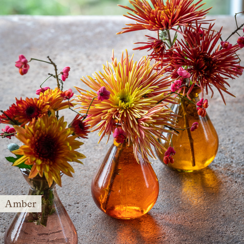 Jewel Vase Collections