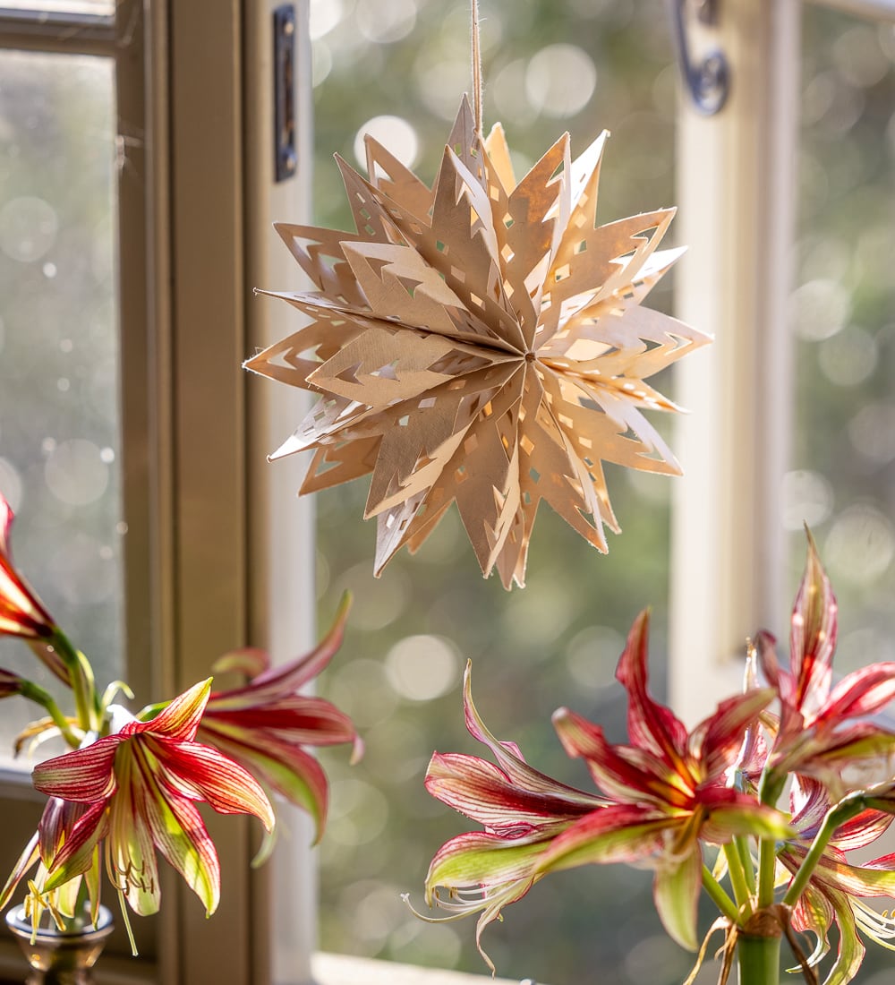 Light in the Window Origami Stars