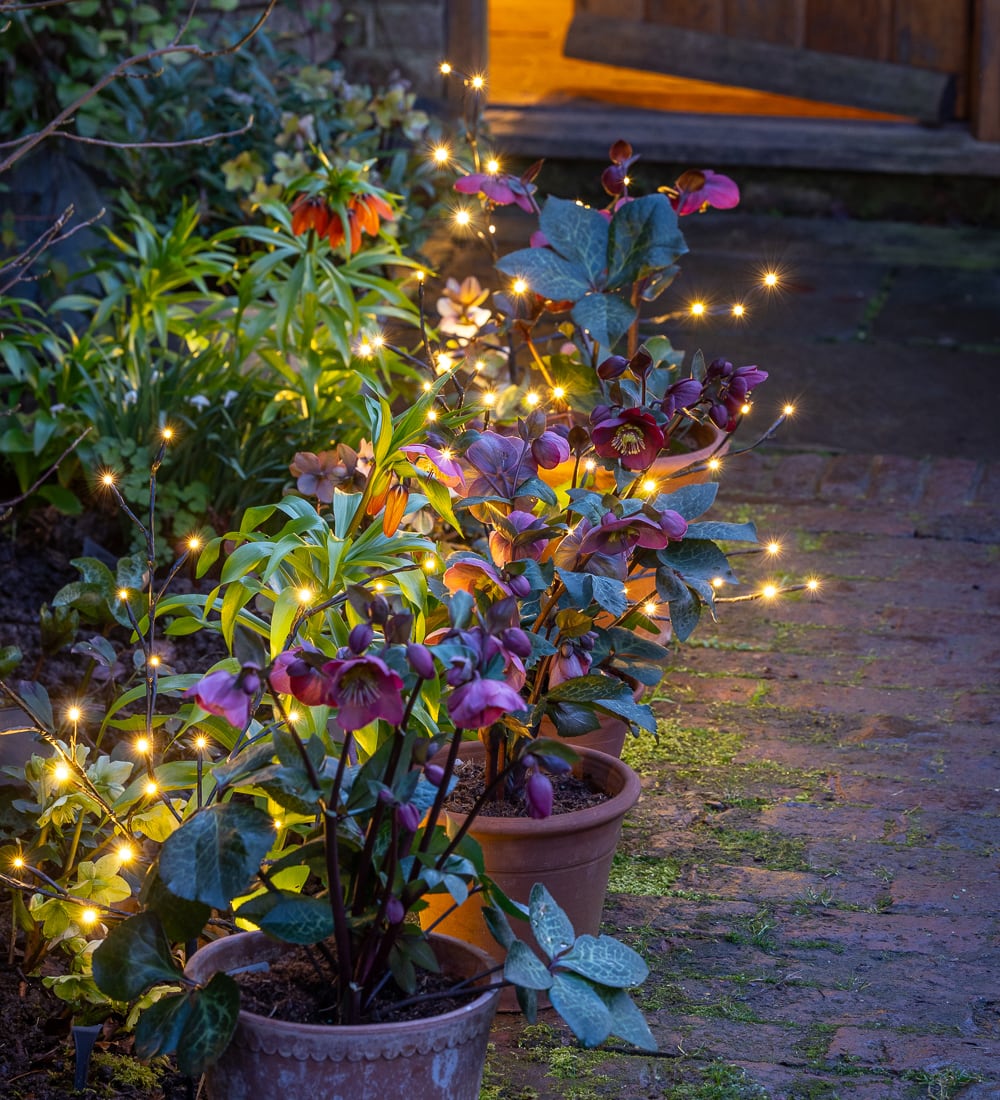 Light the Way Twig Path Lights