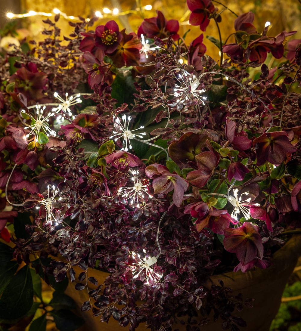Mini Firework Starburst Lights