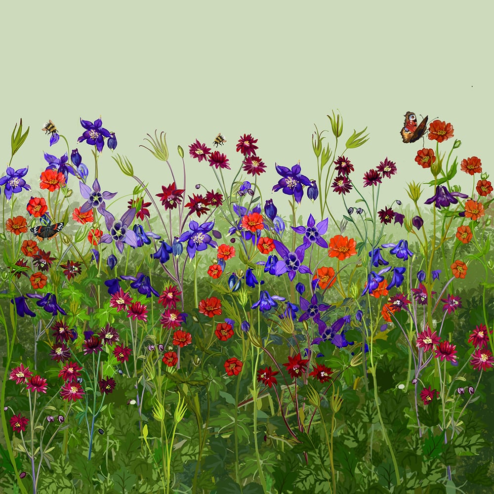 Oast Garden Spring into Summer Combination