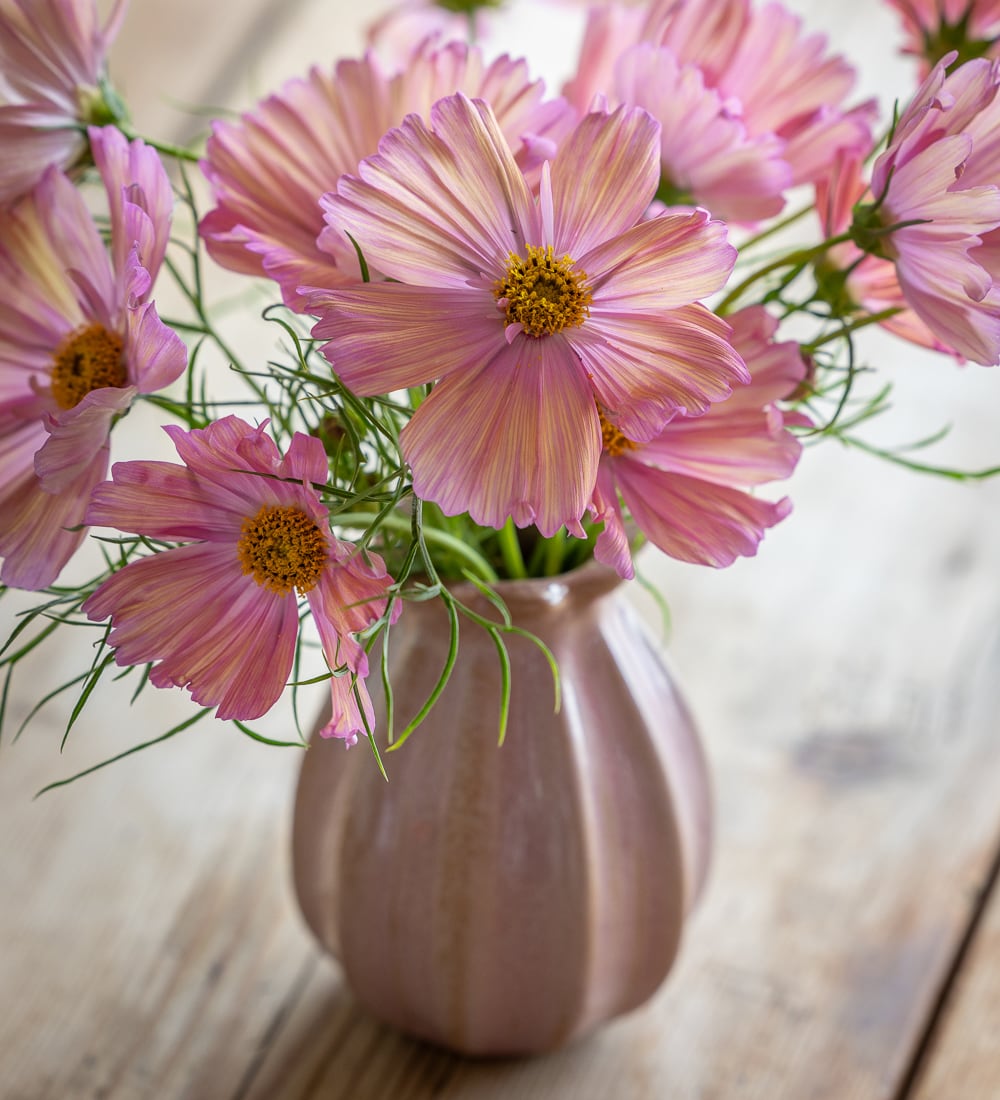 Pale Pink Poppy Seed Head Vase