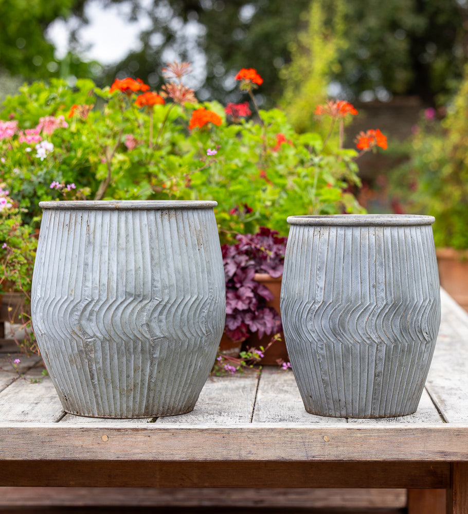 Sarah Raven Tall Round Zinc Pots