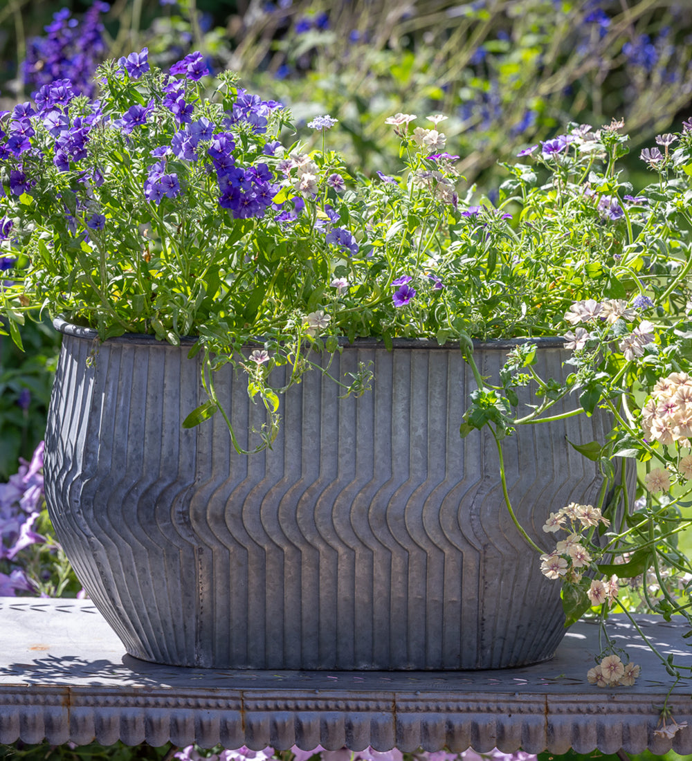 Sarah Raven Zinc Trough