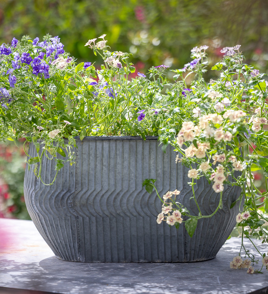 Sarah Raven Zinc Trough