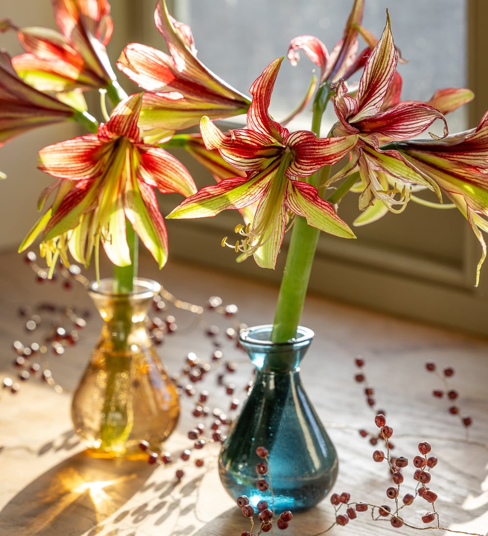 Sophisticated Jewel Vase Collection