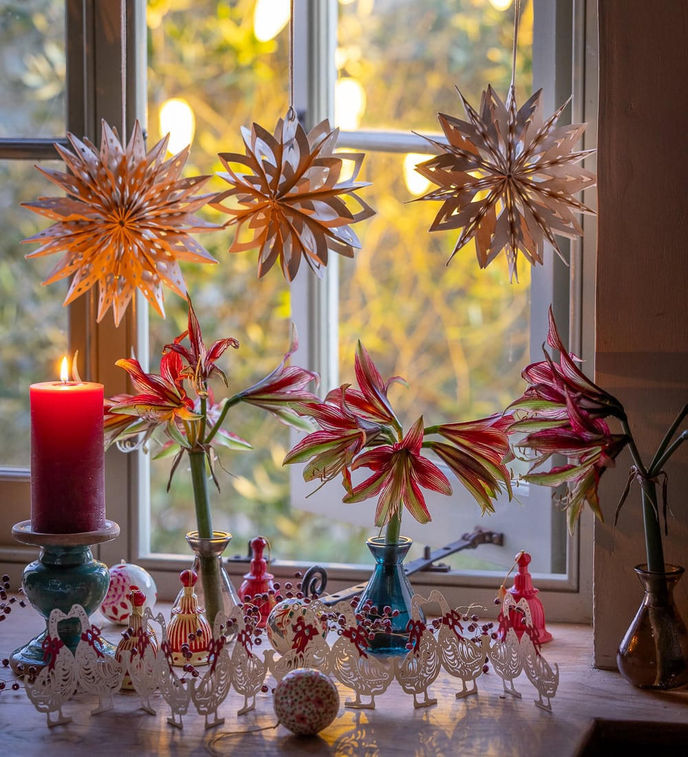 Stars in the Window Paper Decoration Set