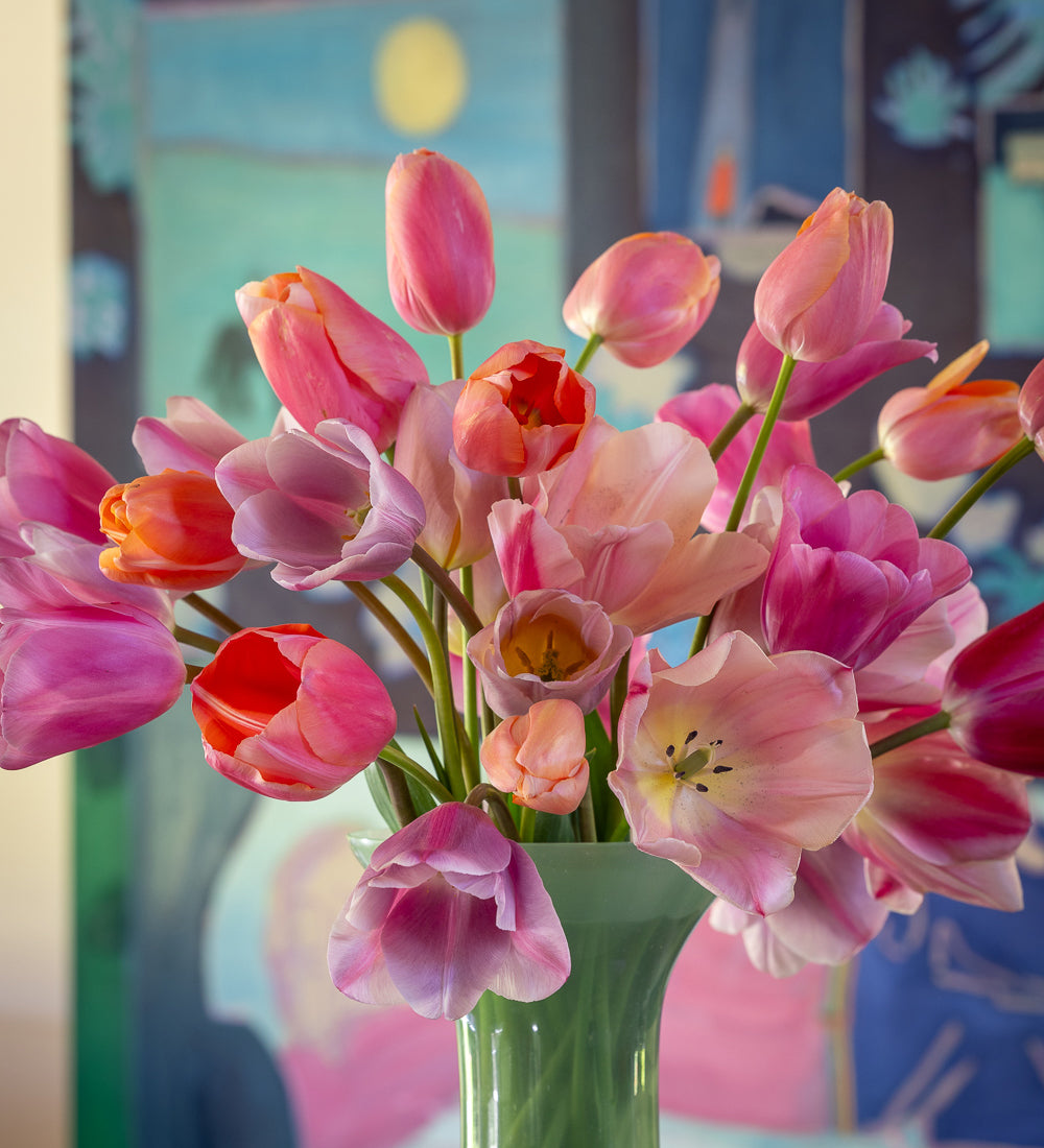 Tom Hammick's Tulip Collection