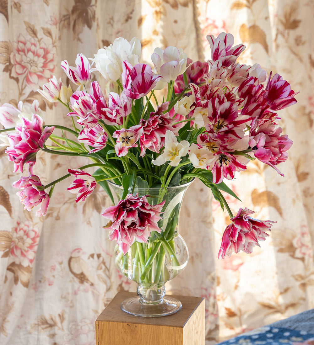 Vintage Chintz Tulip Collection