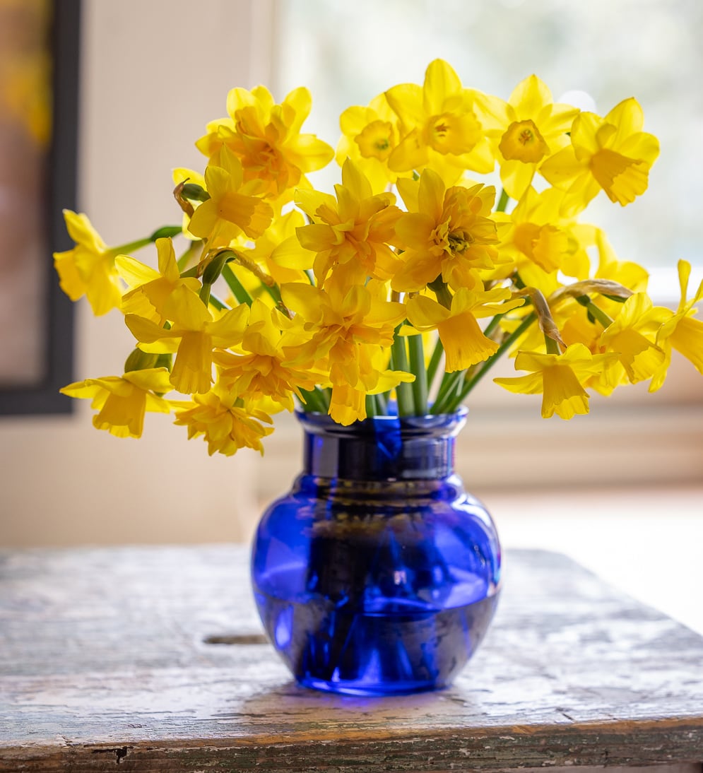 Vita Vase
