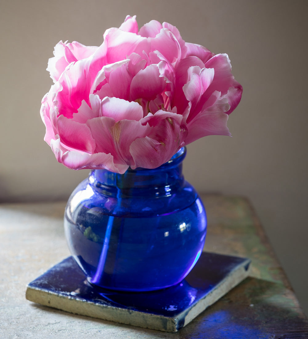 Vita Vase