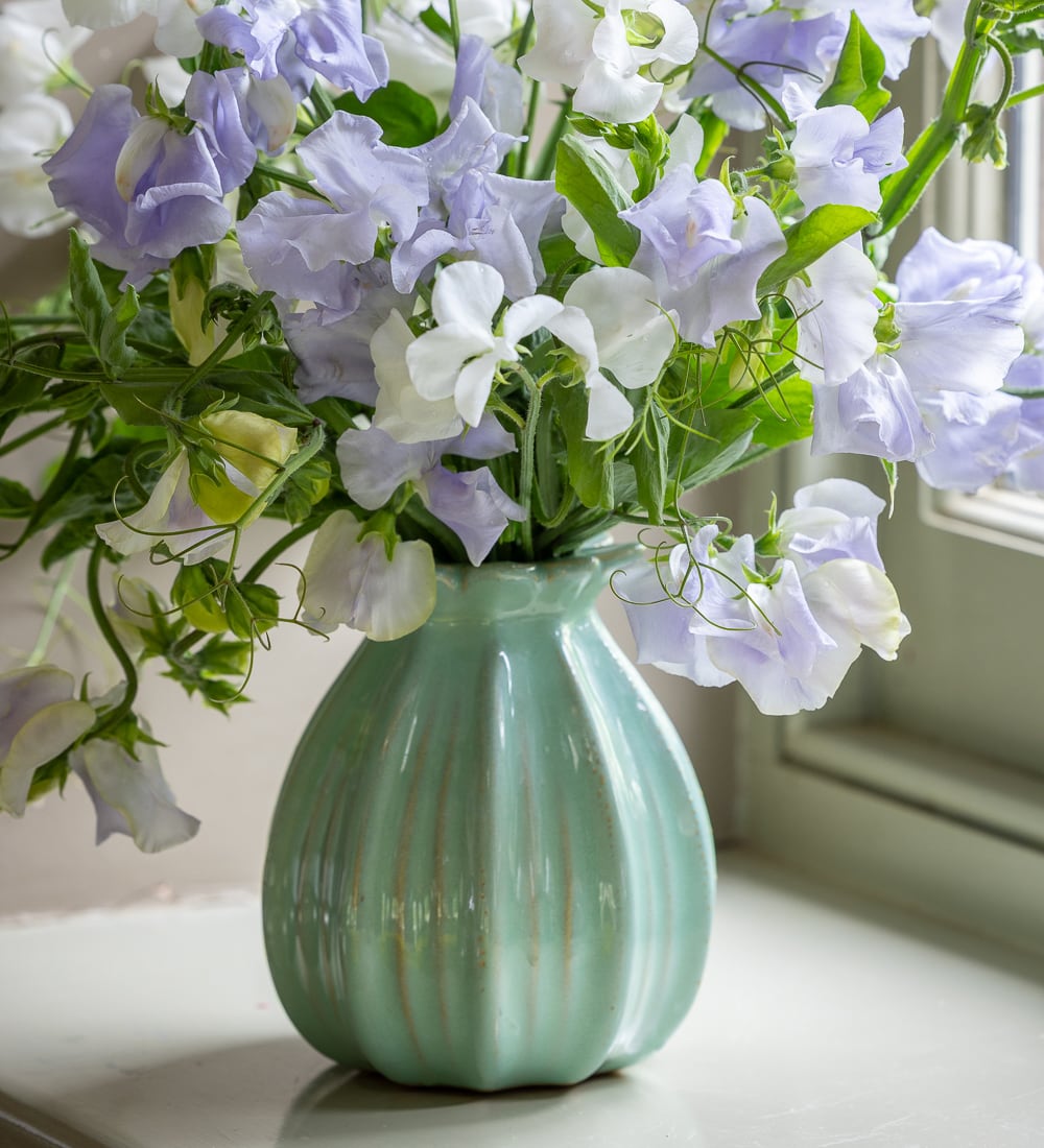 Washed Mint Green Poppy Seed Head Vase
