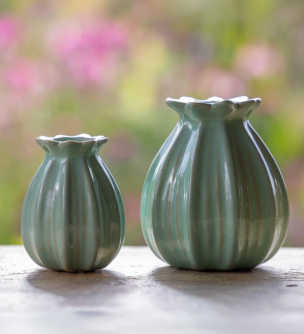 Washed Mint Green Poppy Seed Head Vase