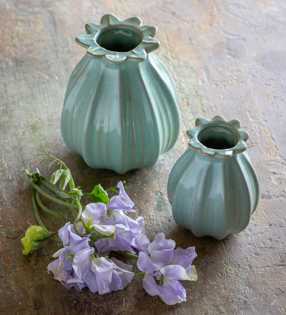 Washed Mint Green Poppy Seed Head Vase