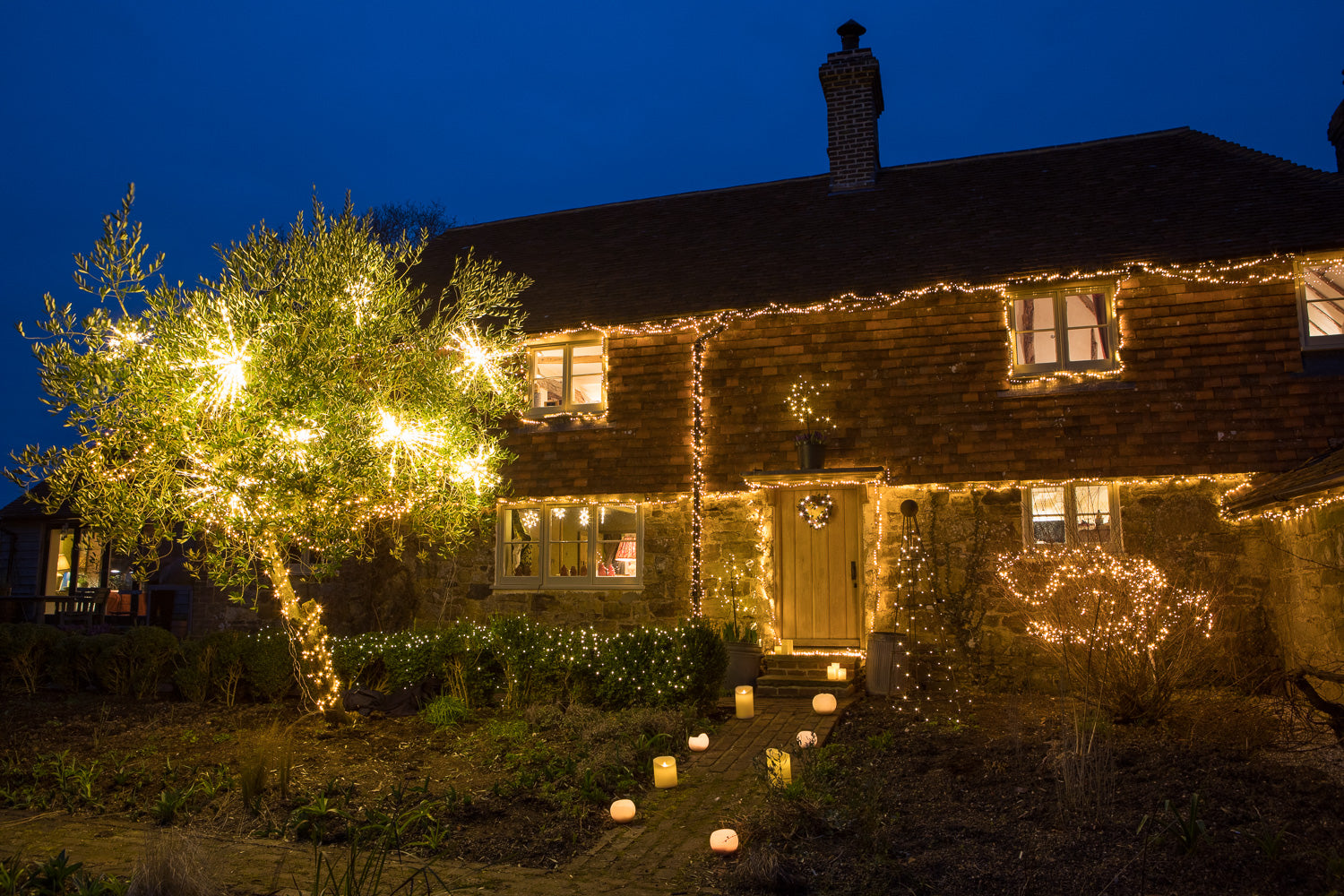 December in the garden