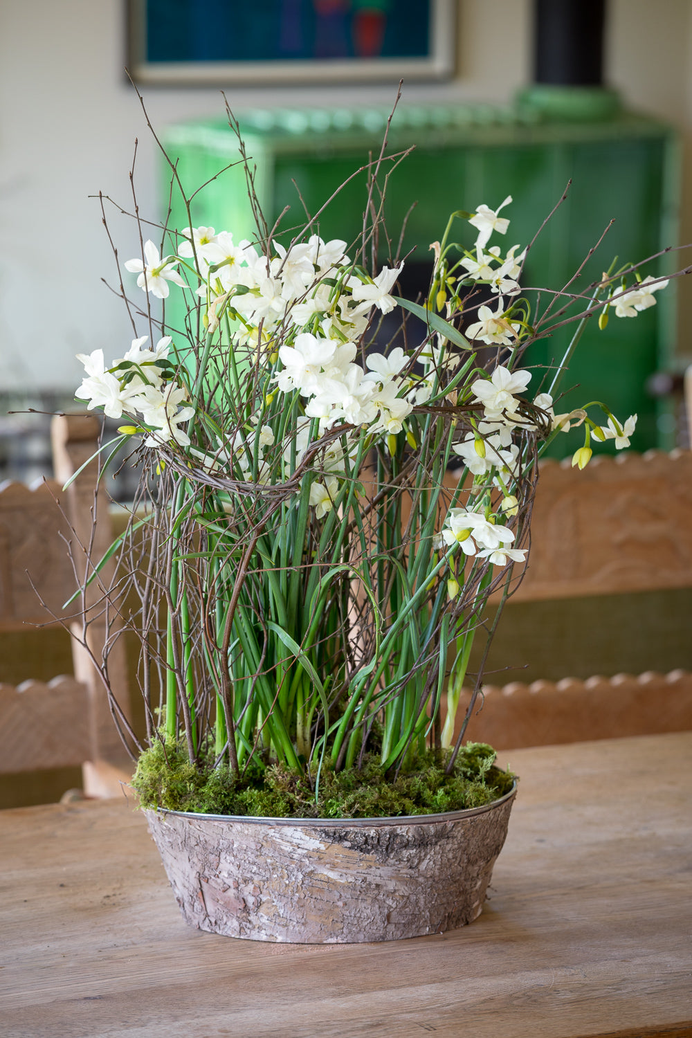 Narcissus paperwhite table centrepiece