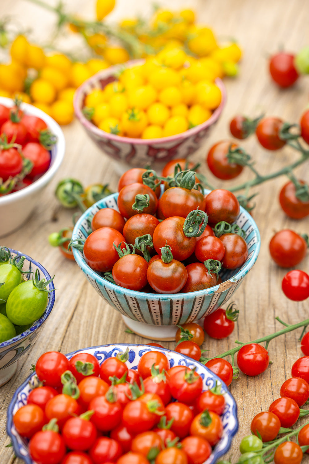How to plant, grow & care for tomatoes