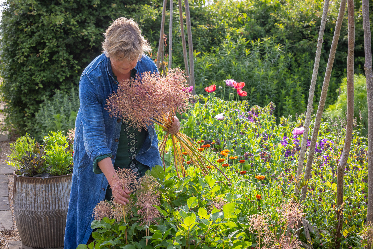 Sarah's Desert Island Allium Collection | Allium Bulbs | Sarah Raven