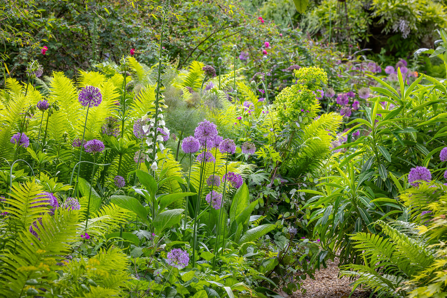 May in the garden